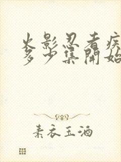 火影忍者疾风传多少集开始