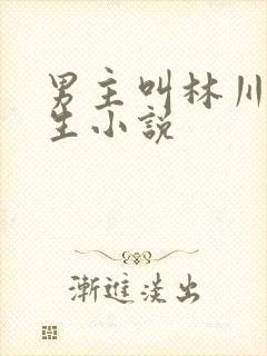 男主叫林川的重生小说