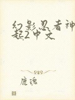 幻影忍者神龙崛起2中文