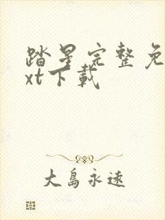 踏星完整免费txt下载