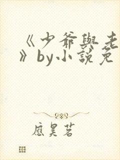 《少爷与老实人》by小说免费阅读