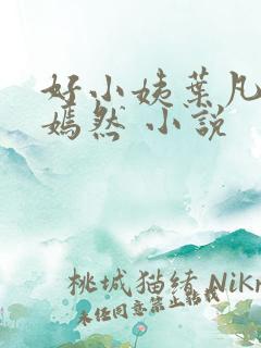 好小姨叶凡司空嫣然 小说