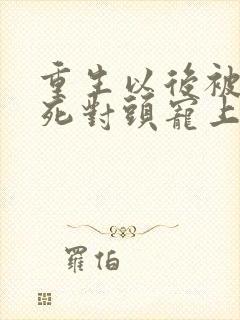 重生以后被渣男死对头宠上天