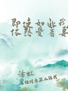 即使如此我还是依然爱着妻子