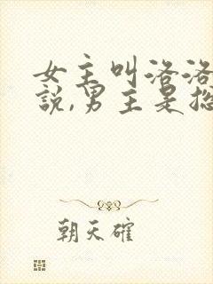 女主叫洛洛的小说,男主是总裁