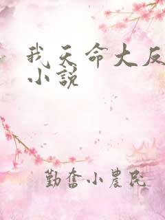 我天命大反派 小说