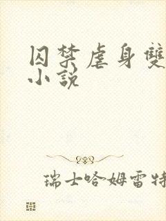 囚禁虐身双男主小说