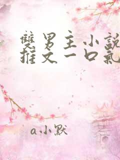 双男主小说爽文推文一口气看完