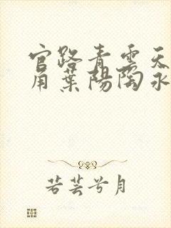 官路青云天骄主角叶阳陶永庆