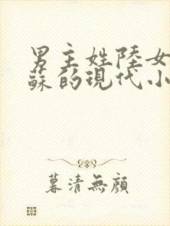 男主姓陆女主姓苏的现代小说