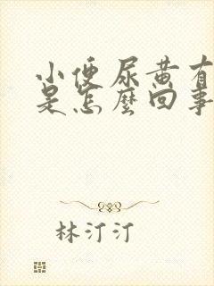 小便尿黄有异味是怎么回事