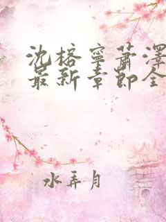 沈榕宁萧泽小说最新章节全文阅读