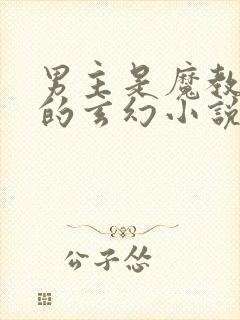 男主是魔教圣子的玄幻小说