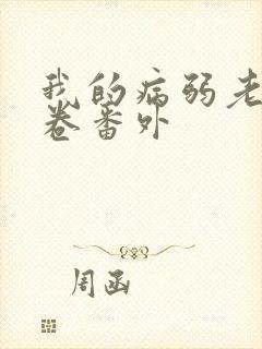 我的病弱老婆花卷番外