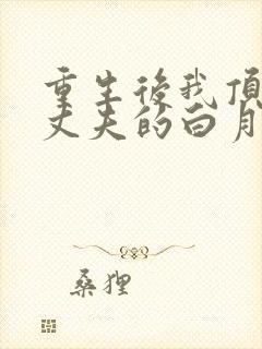 重生后我顶替了丈夫的白月光小说