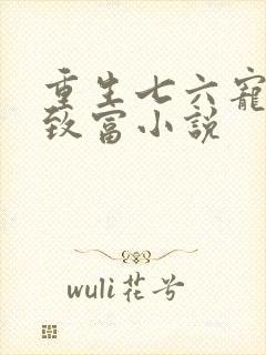 重生七六宠娇要致富小说