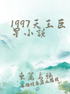 1997天王巨星小说