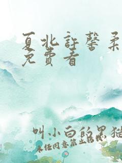 夏北许馨柔小说免费看