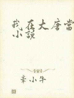 我在大唐当闲王小说