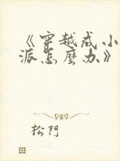 《穿越成小说反派怎么办》