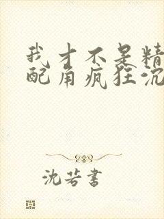 我才不是精灵文配角疯狂沉默