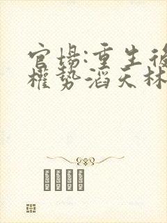 官场:重生后我权势滔天林峰