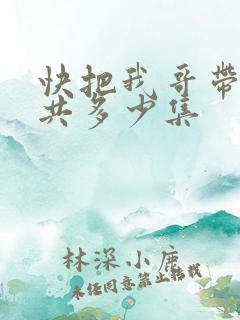 快把我哥带走一共多少集