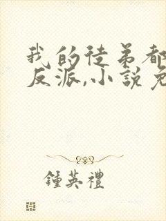 我的徒弟都是大反派,小说免费看