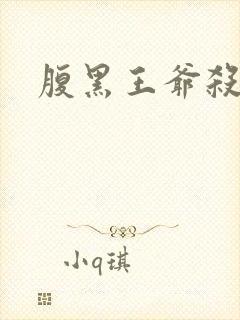 腹黑王爷杀手妃