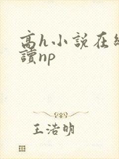 高h小说在线阅读np