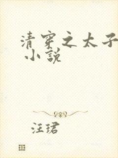 清穿之太子娇妃 小说