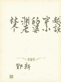 林渊的穿越娶三个老婆小说名字