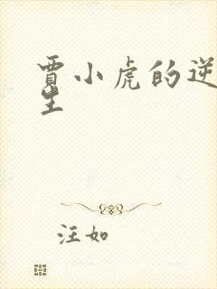 贾小虎的逆袭人生