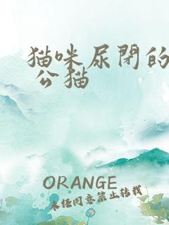 猫咪尿闭的症状 公猫