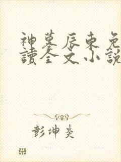 神墓辰东免费阅读全文小说