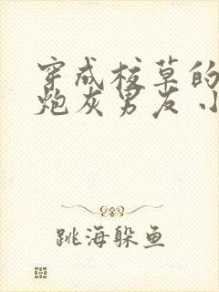 穿成校草的纯1炮灰男友 小说