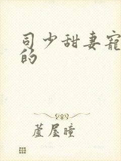 司少甜妻宠定了的