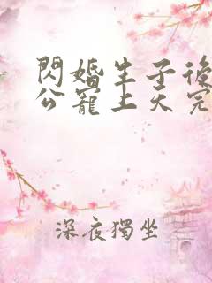 闪婚生子后被老公宠上天完整版短剧