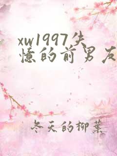 xw1997失忆的前男友小说免费阅读