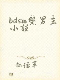 bdsm双男主小说