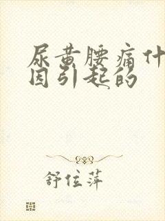 尿黄腰痛什么原因引起的