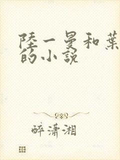 陆一曼和叶风云的小说