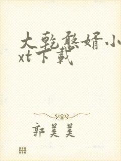 大乾憨婿小说txt下载