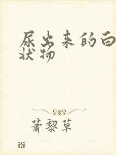 尿出来的白色絮状物