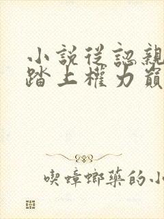 小说从认亲开始踏上权力巅峰