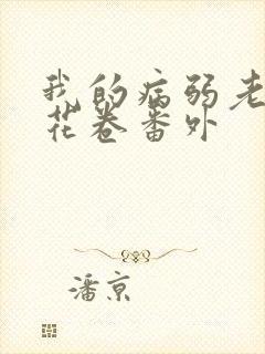 我的病弱老婆 花卷番外