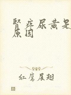 肾疼尿黄是什么原因