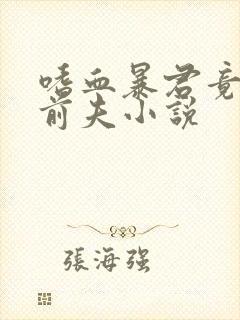 嗜血暴君竟是我前夫小说