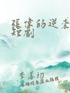 张伟的逆袭人生短剧