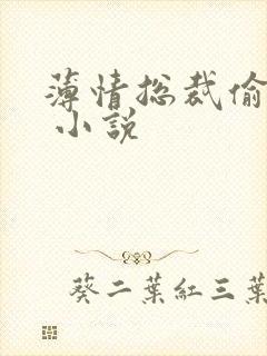 薄情总裁偷上瘾 小说